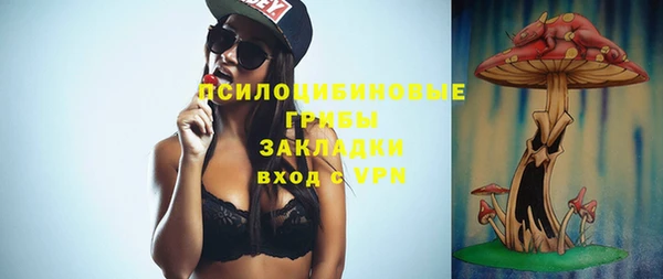 крисы Карпинск