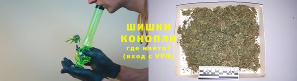 крисы Карпинск