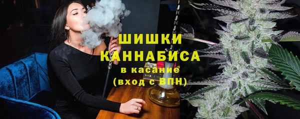 крисы Карпинск