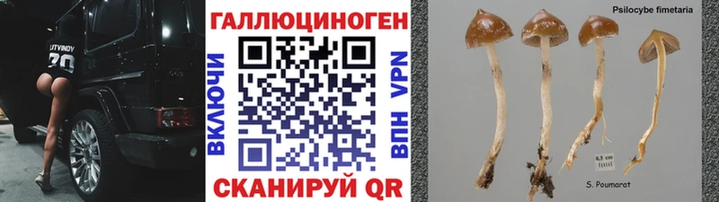 Галлюциногенные грибы MAGIC MUSHROOMS Аткарск